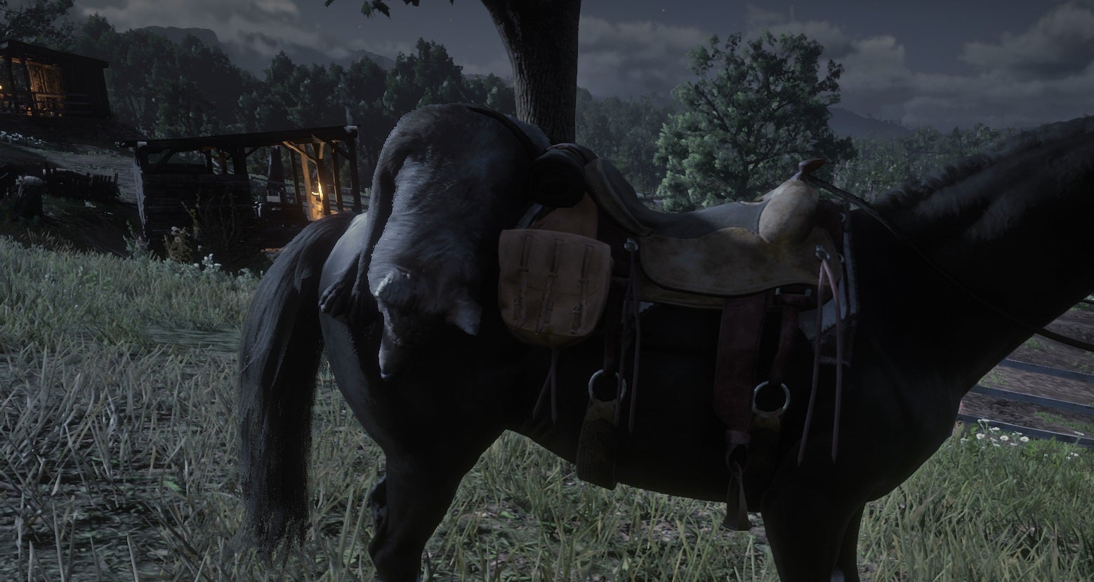 Red Dead Online Best Saddles VG247
